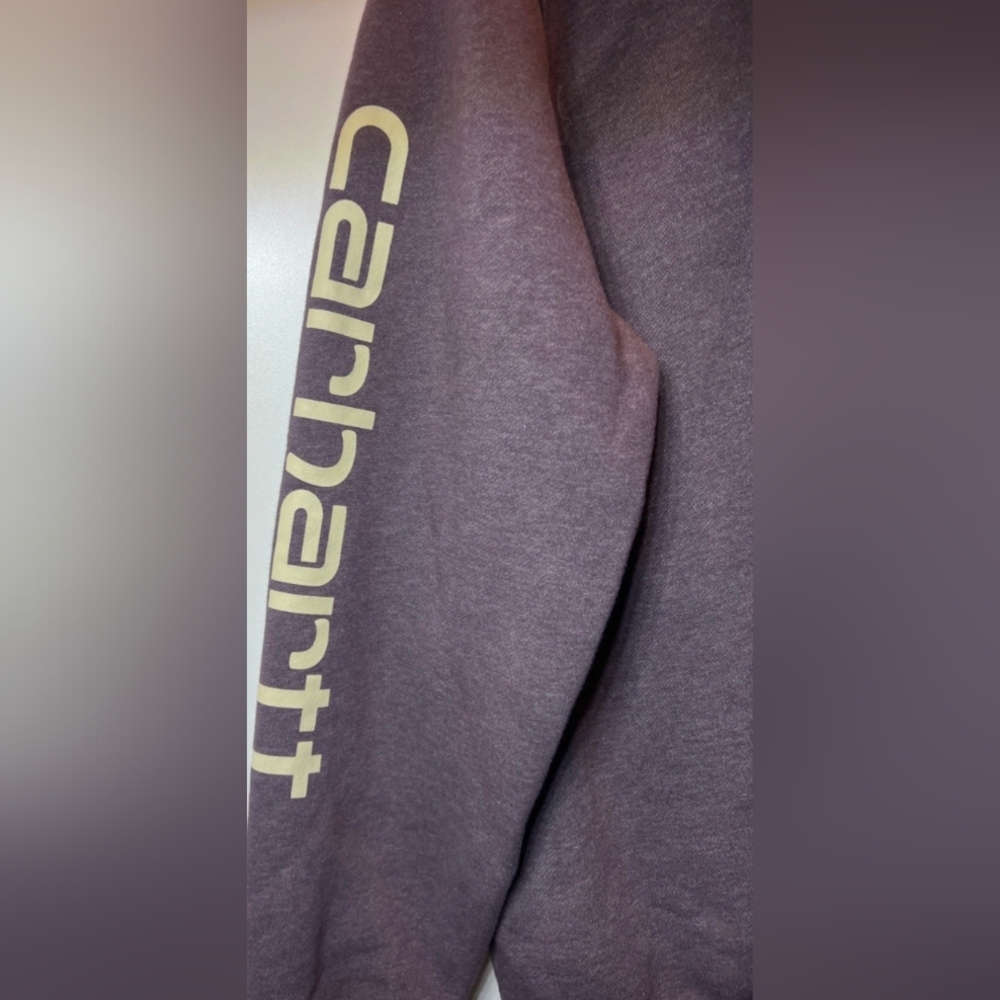 Carhartt Clarksburg Graphic Sleeve Hoodie Sweatshirt Size S Like NewMSRP $59.99 - Picture 3 of 7